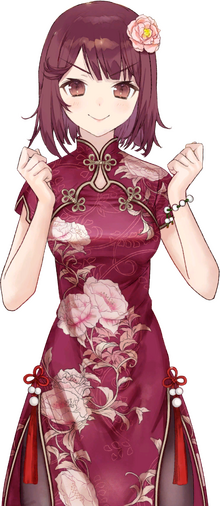 (Nelke) DLC Dress
